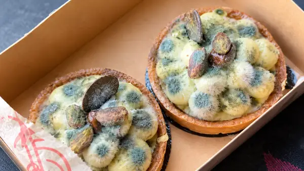 Deux pâtisseries couvertes de moisissure verte et bleue dans une boîte, illustration d’une fraude au remboursement dans laquelle de faux défauts peuvent être ajoutés à une photo grâce à l’intelligence artificielle.