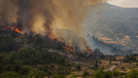 Vue de l’incendie dans la Drôme illustrant le sujet et ses impacts sur les activités locales