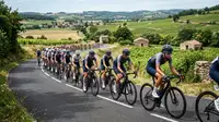 Peloton cycliste féminin sponsorisé par le collectif Ma Petite Entreprise où des entreprises créent leur équipe.